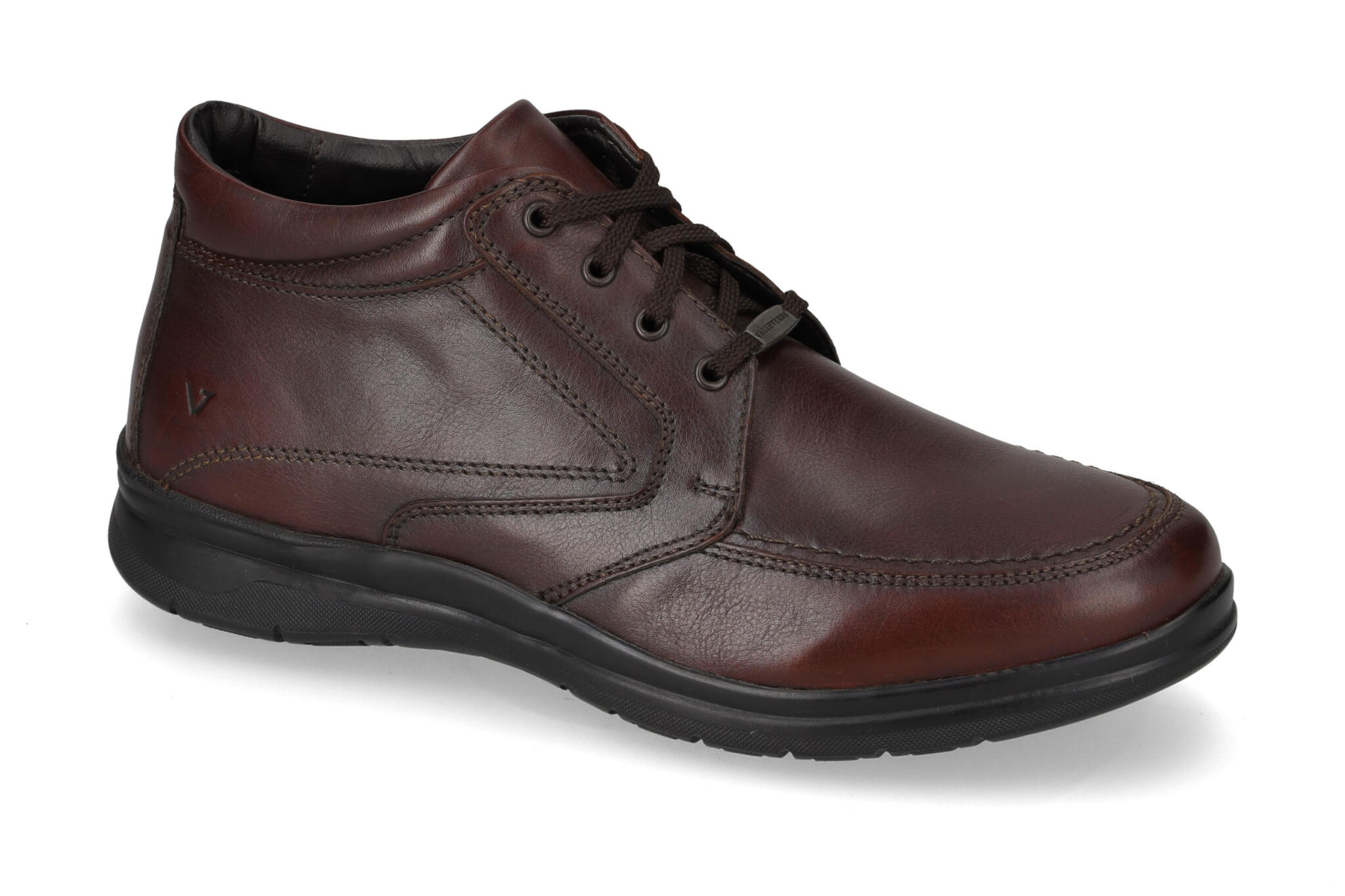 Polacco Vitello Marrone 13926