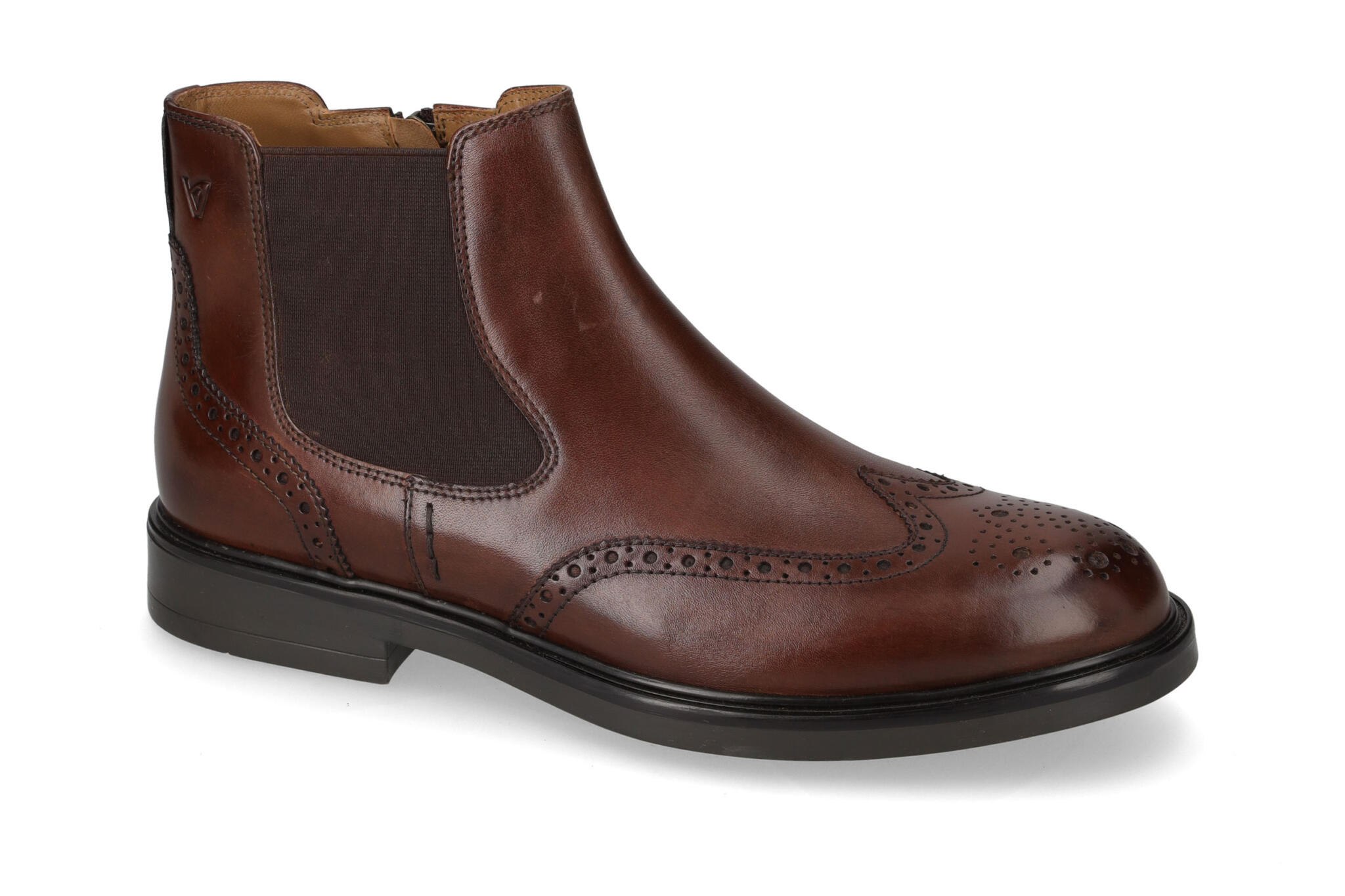 Polacco Vitello Marrone 17872