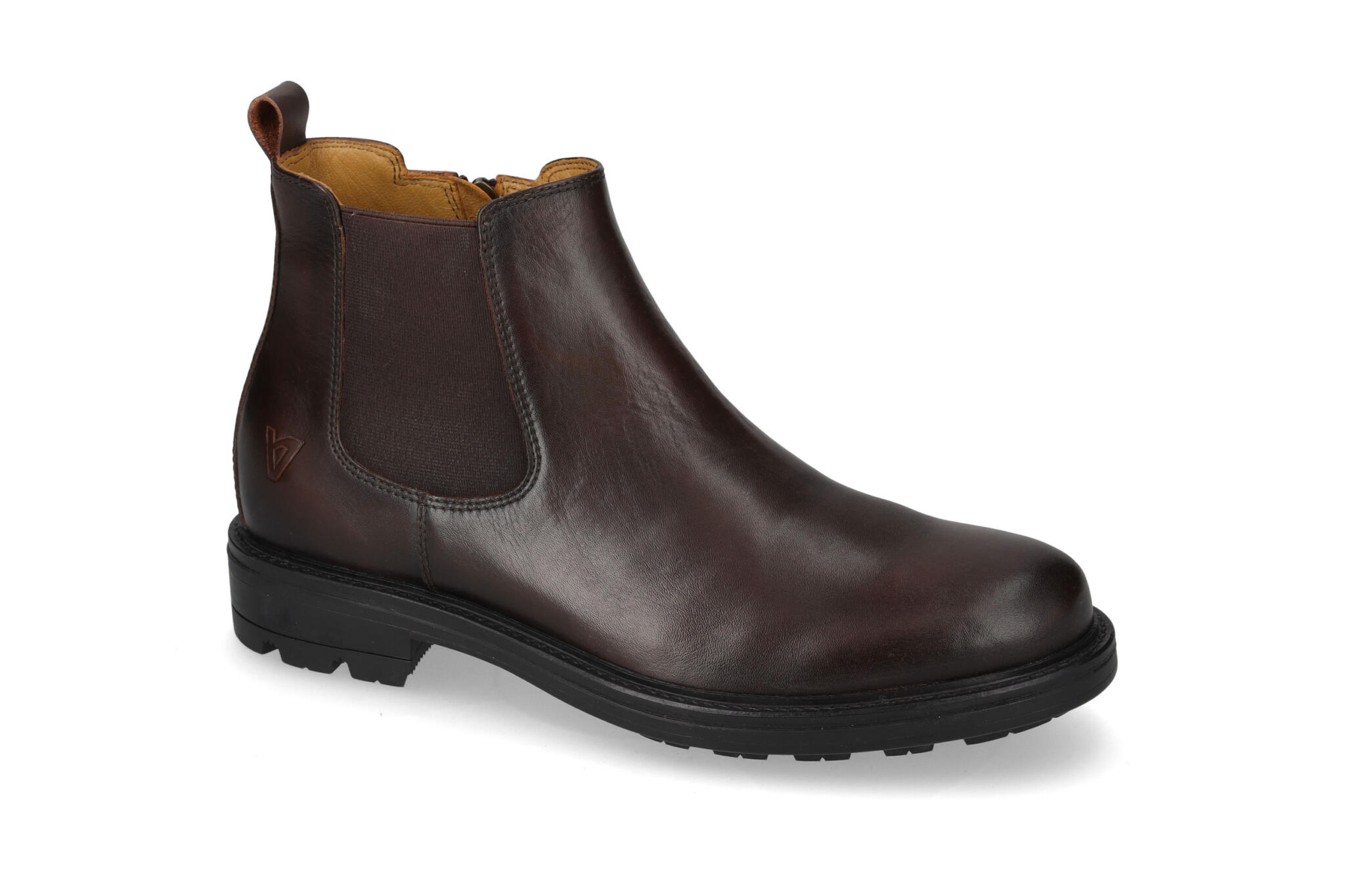 Polacco Vitello Marrone 17880