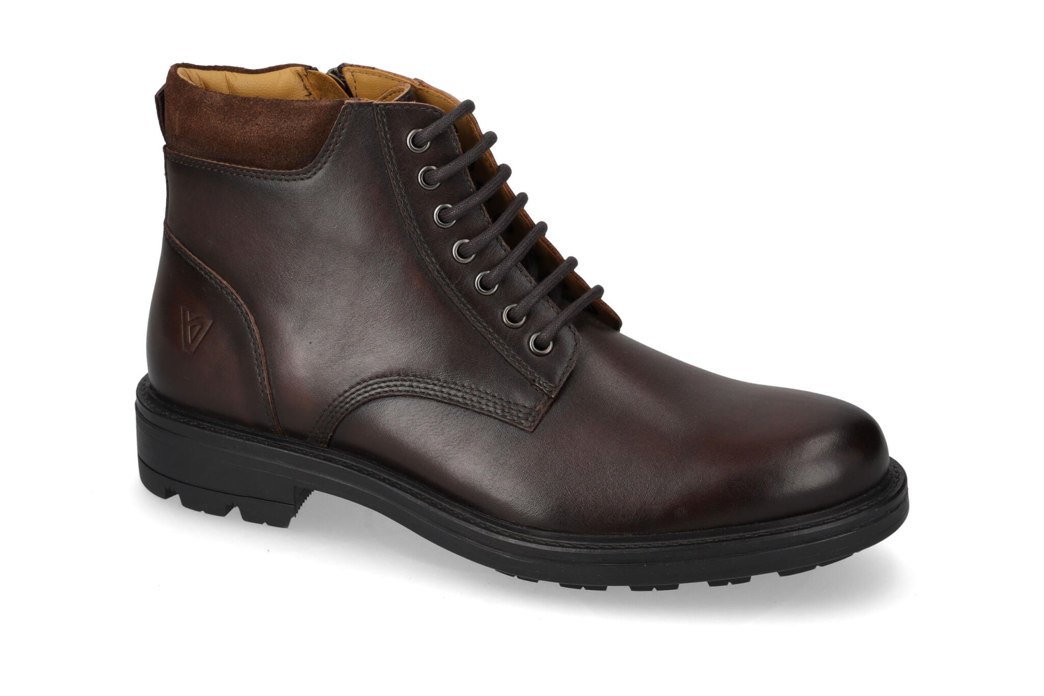 Polacco Vitello Marrone 17881