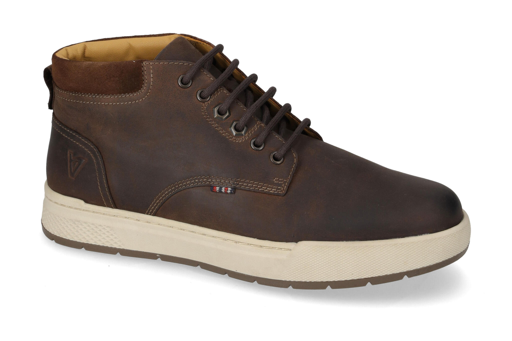 Polacco Ingrassato T.Moro 17891