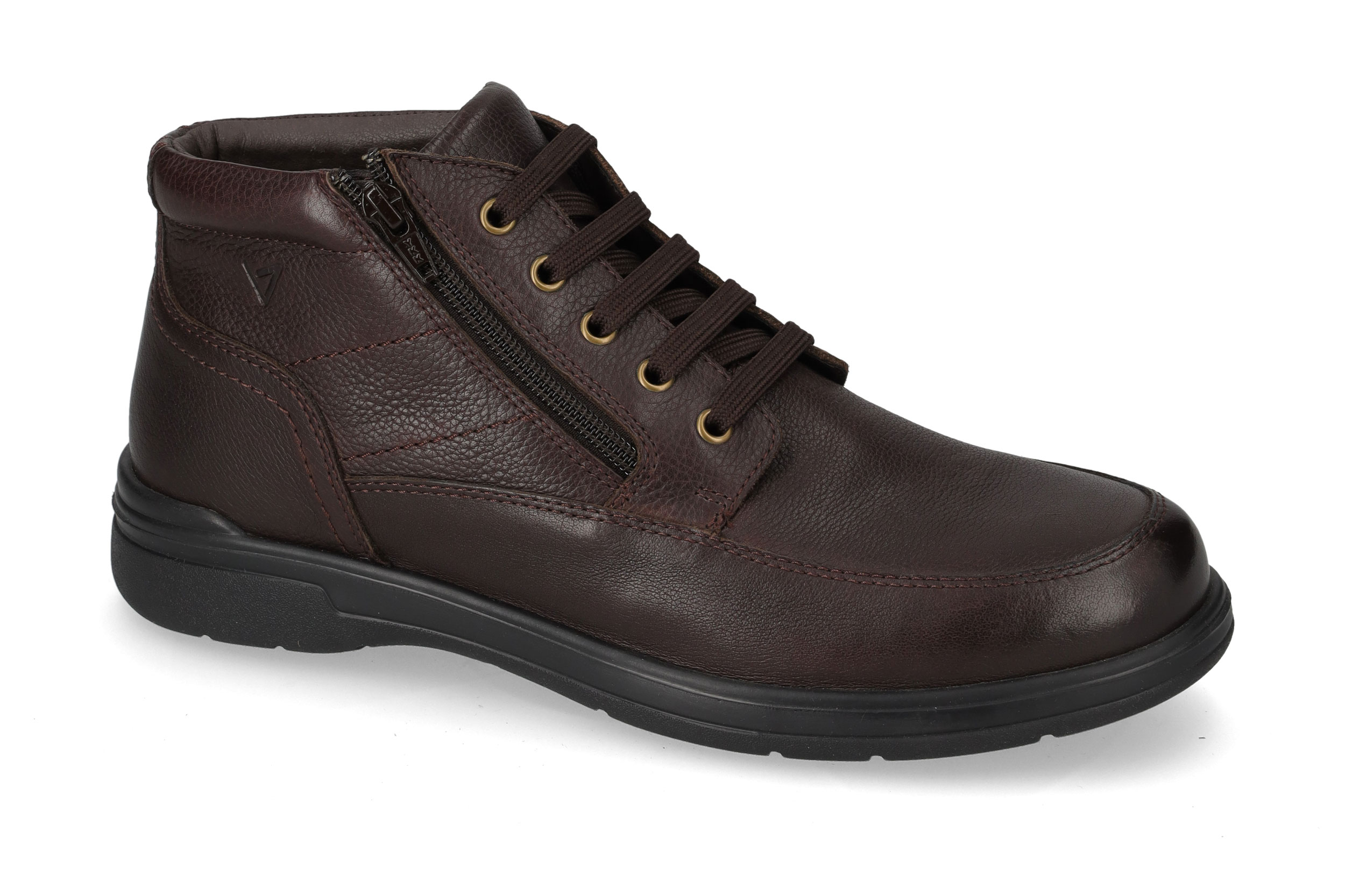 Polacco Vitello Marrone 36824