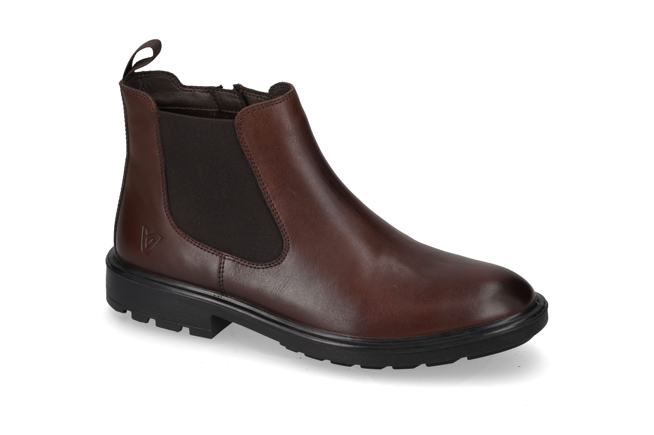 Polacco Vitello Marrone 36862