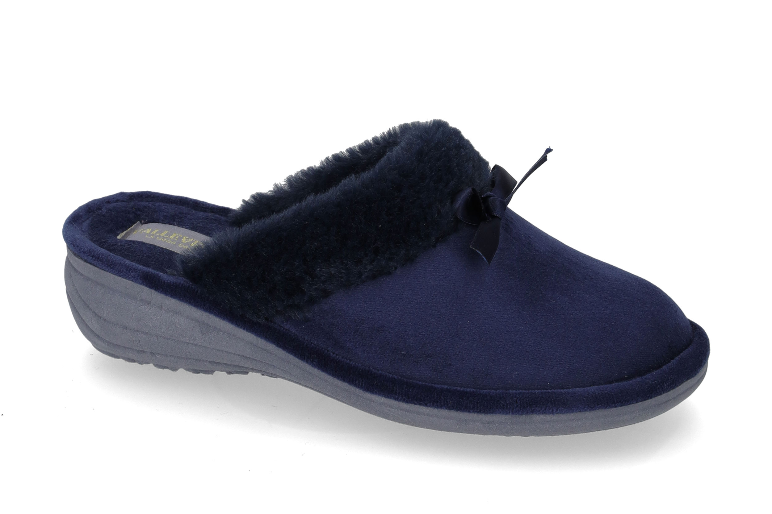 Blue Slipper 55124