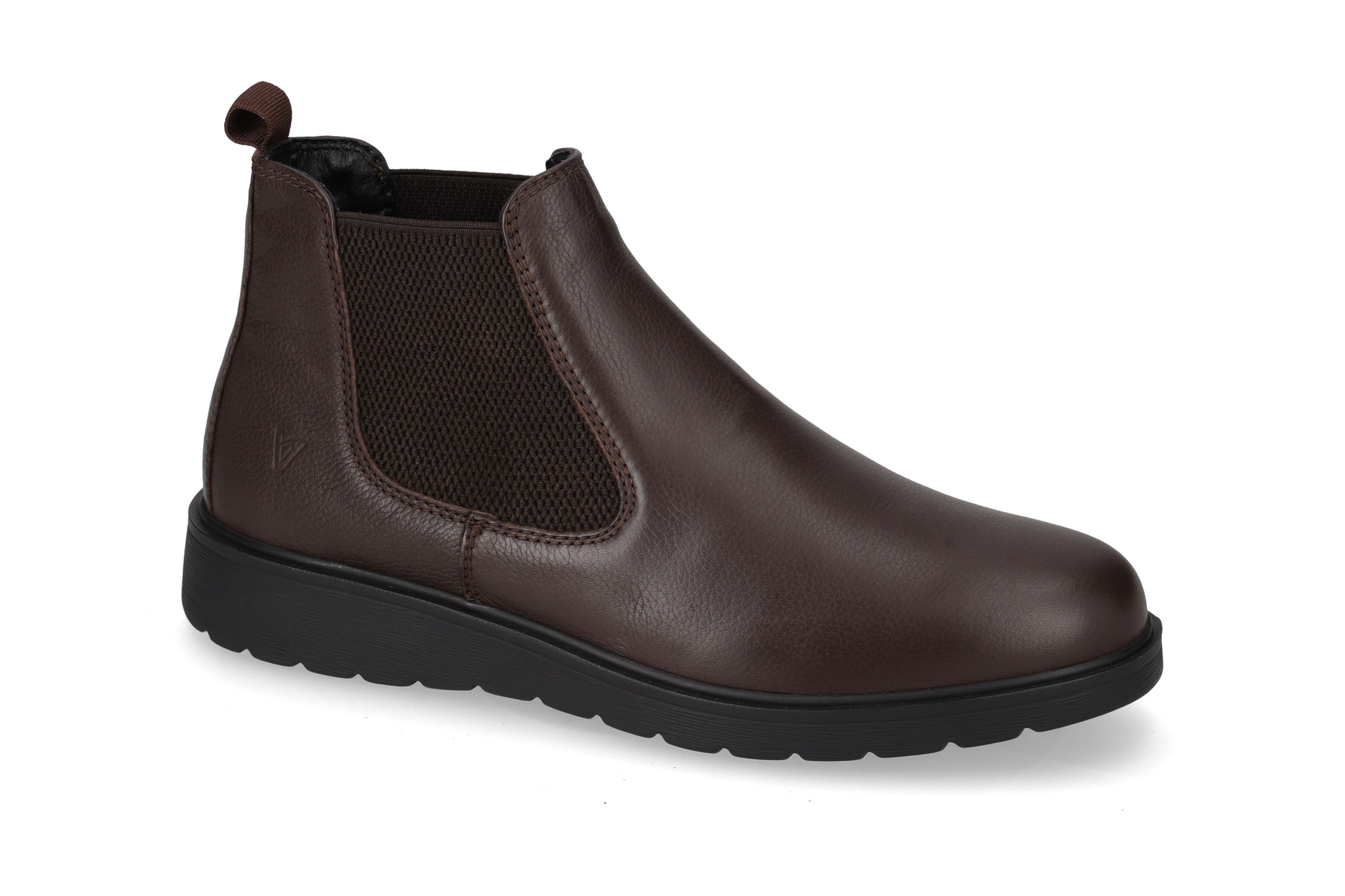 Polacco Vitello Marrone VJ839F